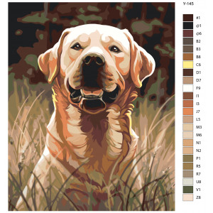 Картина по номерам "Лабрадор-ретрівер. Радісний собака на природі"