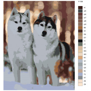 Картина по номерам "Хаски на зимові прогулянки. Собаки"