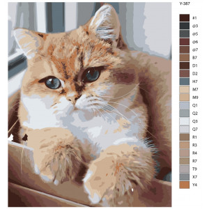 Картина по номерам "Кіт у коробці біля вікна"