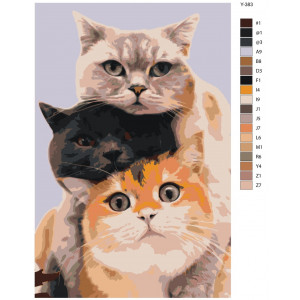 Картина по номерам "Три пухнастих друга. Коти"