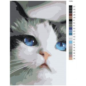 Картина по номерам "Милий блакитноокий котик"