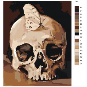 Картина по номерам "Людський череп"