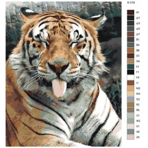 Картина по номерам "Тигр показує мову"