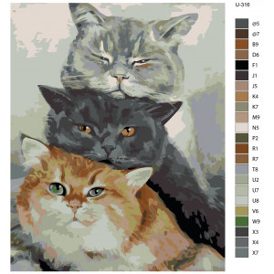 Картина по номерам "Три коти - рудий, чорний, білий"