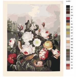 Картина по номерам "Репродукція картини Троянди з альбому Роберта Джона Торнтона Храм Флори (1807)"