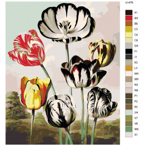 Картина по номерам "Репродукція картини Тюльпани з альбому Роберта Джона Торнтона Храм Флори"