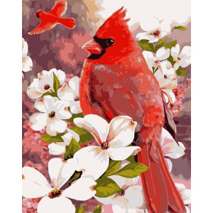 Картина по номерам "Красная птичка"