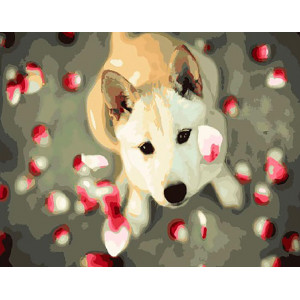 Картина по номерам "Собака в лепестках роз"