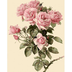 Картина по номерам "Троянди та джмелі"