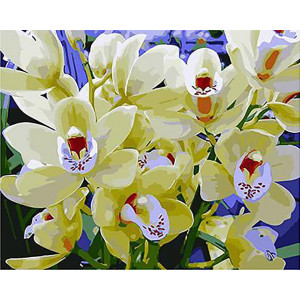 Картина по номерам "Білі орхідеї"