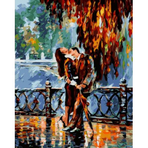 Картина по номерам "Поцелуй после дождя"