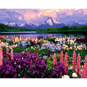 Картина по номерам "Долина цветов"