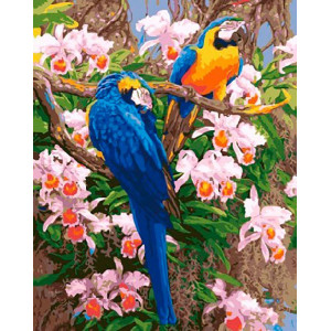 Картина по номерам "Яркие попугаи"