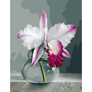 Картина по номерам "Орхідея на сірому фоні"