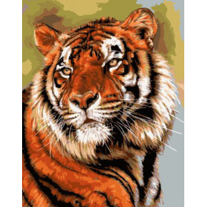 Картина по номерам "Тигр"