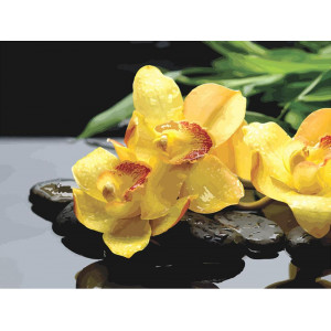 Картина по номерам "Жовті орхідеї"