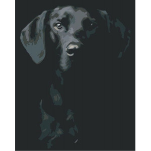 Картина по номерам "Чёрно-белый пёс"