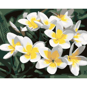 Картина по номерам "Квіти Плюмерії"
