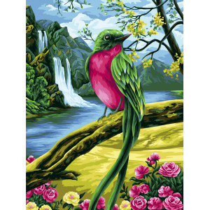 Картина по номерам "Райская птичка"