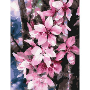 Картина по номерам "Рожеві квіти"