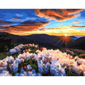 Картина по номерам "Восход солнца в горах"