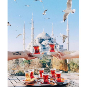 Картина по номерам "Утро в Стамбуле"