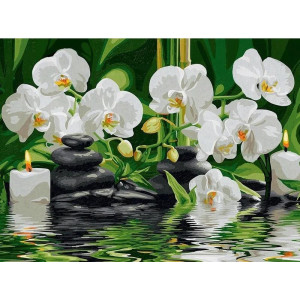 Картина по номерам "Белые орхидеи"