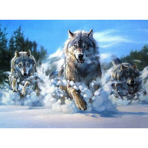Картина по номерам "Зимняя охота волков"