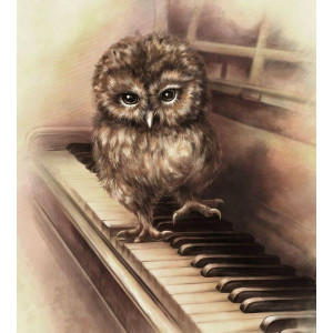 Картина по номерам "Совенок на фортепиано"