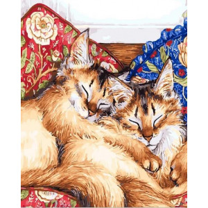 Картина по номерам "Кошачьи сны"