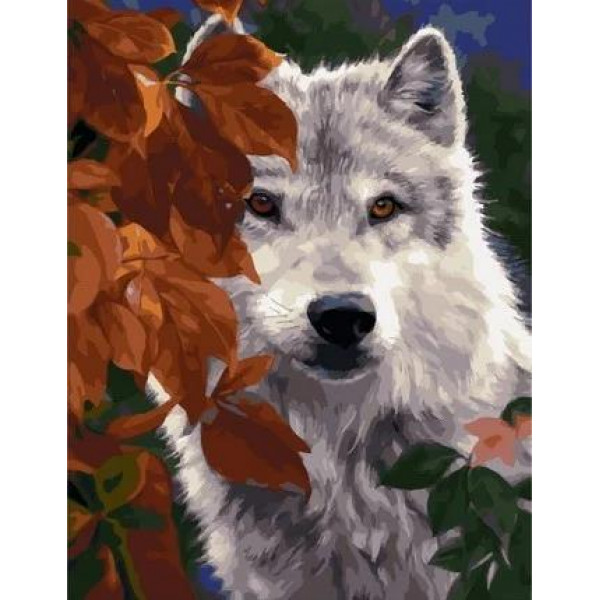 Картина по номерам "Белый волк в осеннем лесу"