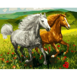 Картина по номерам "Лошади на маковом поле"