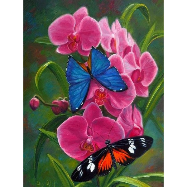 Картина по номерам "Бабочки на орхидее"