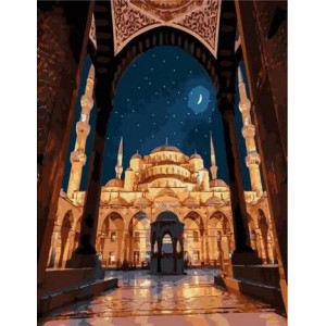 Картина по номерам "Звездная ночь в Стамбуле"
