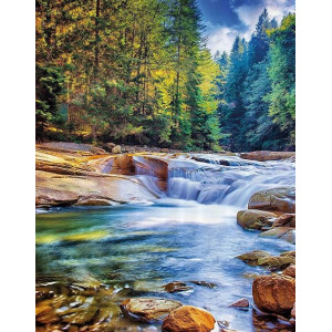 Картина по номерам "Лесной пейзаж с рекой"