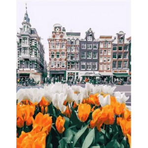 Картина по номерам "Весна в Амстердаме"