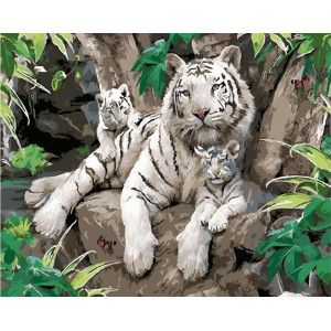Картина по номерам "Белые тигры"