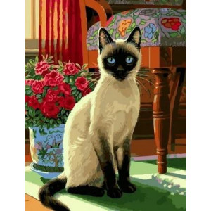 Картина по номерам "Благородная сиамская кошка"
