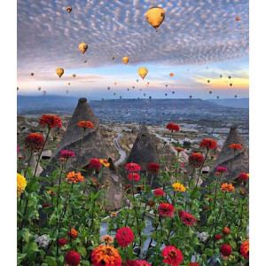 Картина по номерам "Воздушные шары в Каппадокии"