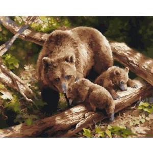 Картина по номерам "Бурые медведи"
