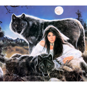 Картина по номерам "Дівчина та вовки"
