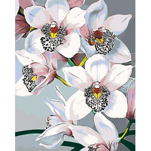 Картина по номерам "Белые орхидеи"