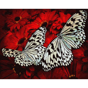 Картина по номерам "Белые бабочки"