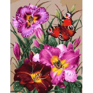Картина по номерам "Бабочка и лилии"