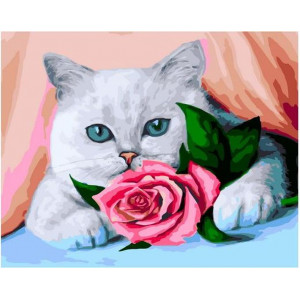 Картина по номерам "Белый голубоглазый кот с розовой розой"