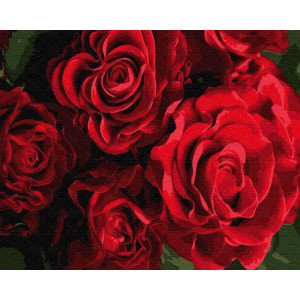 Картина по номерам "Бутоны красных роз"