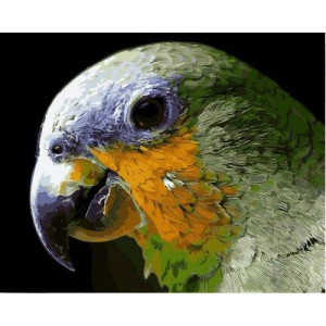 Картина по номерам "Мятный попугай"