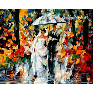 Картина по номерам "Свадьба под дождем"