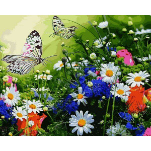 Картина по номерам "Цветочное поле и бабочки"