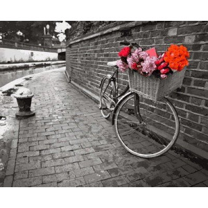 Картина по номерам "Велосипед с цветочной корзиной"